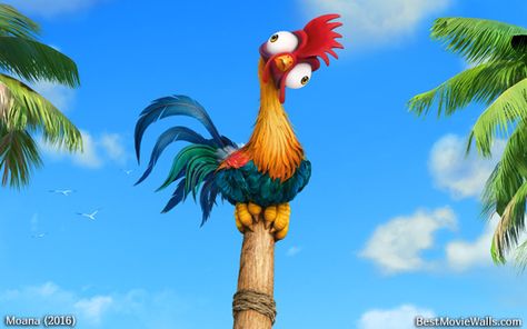 Hei Hei says hey!!! Heyhey Chicken Moana, Hayhay Moana, Chicken From Moana, Hey Hey Moana, Moana Chicken, Heihei Moana, Moana Poster, Hei Hei Moana, Moana 2016