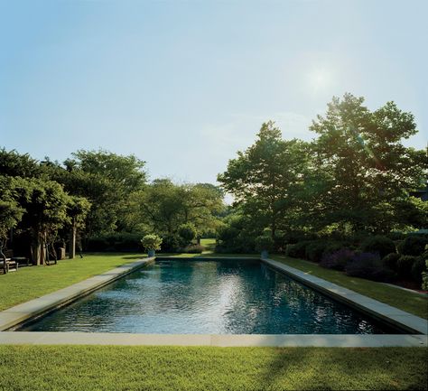 The Best Swimming Pools in Vogue—Edmund Hollander designed this watery escape at Jacqueline Sackler’s Amagansett house. Modern Pool Aesthetic, Nantucket Pool, Best Swimming Pools, Country Pool, Mark D Sikes, Pool Landscape Design, Cool Swimming Pools, Natural Swimming Pools, Tamworth