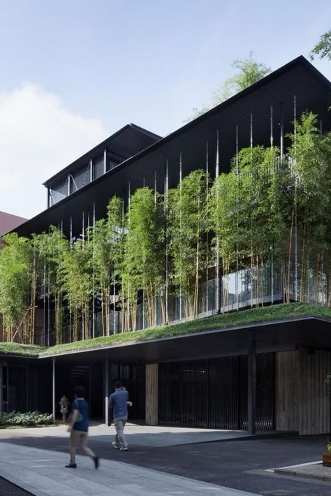 Green Building Architecture, Green Roof Building, Green Facade, Green Architecture, Facade Architecture, Roof Garden, Sustainable Architecture, Green Roof, Facade Design