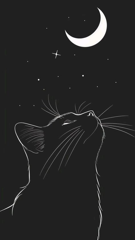 Cat Background Wallpapers, Black Cat Wallpaper Aesthetic, Black And White Cat Wallpaper, Black Cat Wallpaper, Image Zen, Black Phone Background, Wallpaper Gatos, Black And White Wallpaper Iphone, Cat Phone Wallpaper