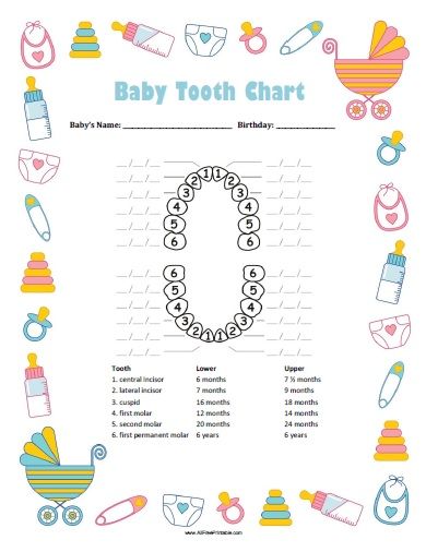 Free Printable Baby Boy Tooth Chart. Free Printable Baby Boy Tooth Chart, a great chart to track your baby's teeth eruption dates. If your want to record the proper primary teeth development, this baby tooth chart can help you. Keep track of first molar, second molar, canine (cuspid), lateral incisor, central incisor and first permanent molar. You can write the First Tooth Ideas, Baby Tooth Chart, Baby Journal Book, Teething Chart, Baby Book Pages, Baby Books Diy, Baby Planner, Baby Record Book, Tooth Chart