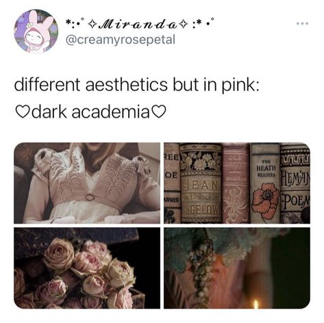 Pink Dark Academia, Dark Academia Girls, Dark Academia Outfit Women, Dark Academia Wedding, Dark Academia Bedroom, Dark Academia Aesthetic Outfit, Pink Academia, Dark Academia Outfit, Chaotic Academia