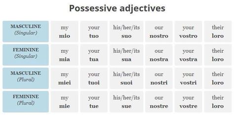 Italian Possessive Adjectives, Italian Possessive Pronouns, Italian Pronouns, Italian Adjectives, Free Italian Lessons, How To Speak Italian, Plural Words, Possessive Adjectives, Italian Grammar