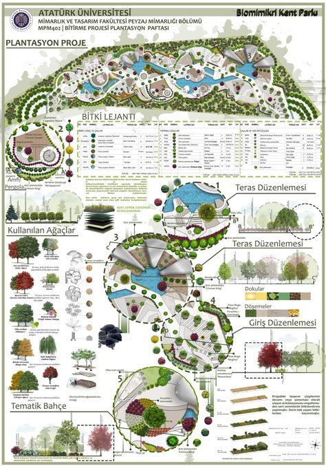 Expand your asset library and take your architectural to the next level! Landscape Architecture Concept Plan, Landscape Architecture Presentation, Site Plan Design, Landscape Architecture Diagram, Landscape Architecture Graphics, Streetscape Design, Architecture Design Presentation, Landscape Architecture Plan, Landscape And Urbanism Architecture