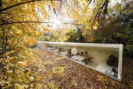 woodland office Serpentine Pavilion, متحف فني, Architecture Cool, Cool Office Space, Steven Holl, Glass Office, Spanish Architecture, Dream Office, Modern Office Design