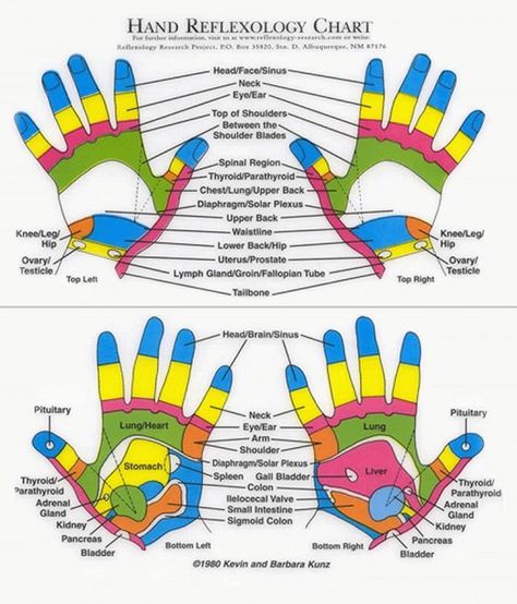 Hand Reflexology Chart I love this chart! I will be presenting to the Chandler Senior Center on How to Stay Healthy with Hand Reflexology. A High 5 for Health !!! Reflexology Chart Pressure Points, Autogenic Training, K Tape, Lymph Glands, Hand Reflexology, Reflexology Chart, Reflexology Massage, Foot Reflexology, Acupressure Points