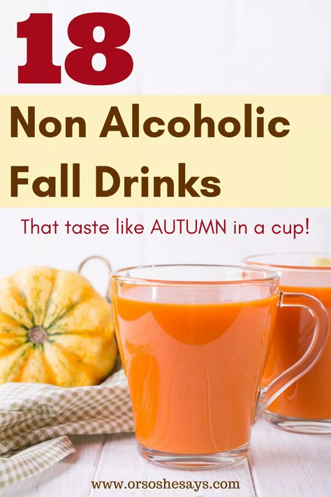 18 Non Alcoholic Fall Drinks ~ Taste like autumn in a cup!! #falldrinks #nonalcoholic #autumn #holidayparties #thanksgivingdinner Non Alcoholic Drinks For Fall, Alcoholic Drinks For Fall, Non Alcoholic Fall Drinks, Alcoholic Fall Drinks, Drinks For Fall, Fall Drinks Alcohol, Fall Drink Recipes, Pumpkin Juice, Homemade Apple Cider