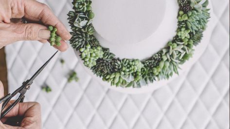 Forget birds. Put a succulent on it. Flower Necklace Diy, Succulent Jewelry, Plant Jewelry, Succulent Wedding, Floral Jewelry, Necklace Diy, Passion Flower, Diy Homemade, Floral Jewellery