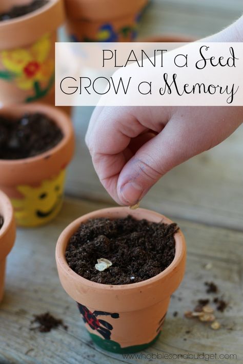 Here's a simple Mother's Day gift using small terra cotta pots, paint, seeds and potting soil! These thumbprint flower pots don't take a big time commitment or cost a lot of money but will create memories for the next seasons of life. Mini Flower Pot Crafts, Thumbprint Animals, Thumbprint Flowers, Seeds Preschool, Hanging Paper Craft, Wall Hanging Paper Craft, Craft For Home Decoration, Rose Craft, Small Clay Pot