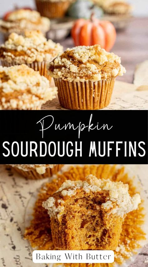 It’s cooler weather, and you’re craving something seasonal. Enter Pumpkin Sourdough Muffins—a great way to use your extra sourdough starter or sourdough discard. These sourdough pumpkin muffins are super soft and tender with a delicious buttery streusel top. Healthy Sourdough Pumpkin Muffins, Discard Pumpkin Muffins, Sourdough Pumpkin Banana Bread, Sourdough Discard Pumpkin Muffins, Sourdough Pumpkin Muffins, Fall Sourdough, Sourdough Dessert, Pumpkin Sourdough, Sourdough Pumpkin