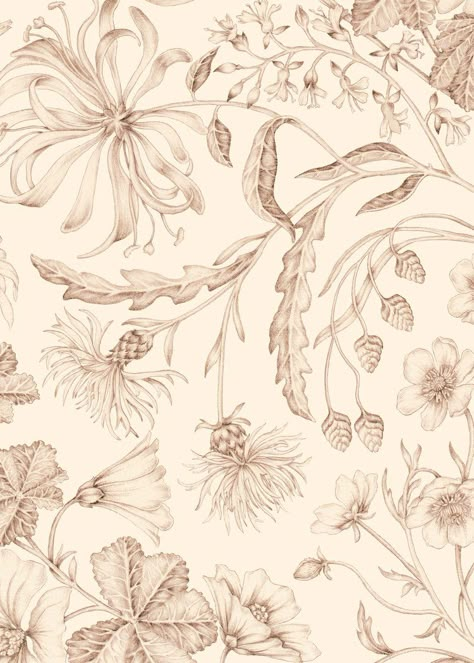 Studio Le Cocq - by Stephanie Le Cocq Appreciating the natural world through a decorative lens. Interior decoration to bring the nature indoors. We've been speaking with Stephanie for a while now and are super excited to help launch this talent into our wonderful worlds. Here are her premier 'British Biophilia' collection of wallpapers, we can't wait for more. The Lost Garden - Earth Red A wild botanical chintz wallpaper. This pattern is inspired by the late botanical artist William Kilburn, he Chintz Wallpaper, Illustrated Wallpaper, Pencil Strokes, Chintz Pattern, Botanical Flowers Print, Lost Garden, Inspired Wallpaper, Wallpaper Earth, Garden Wallpaper