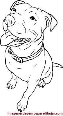 imagenes de perros pitbull para colorear sentado Bull Lineart, Pitbull Colors, Pit Bull Drawing, American Staffy, Pitbull Drawing, Pitbull Tattoo, Pitbull Art, Puppy Drawing, Dog Coloring Page