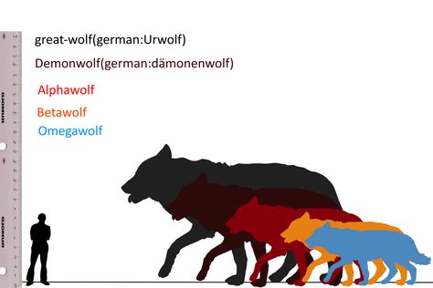 HAH, that alpha wolf Is the size of a direwolf! Wolf Size Chart, Werewolf Size Chart, Wolf Pack Dynamics, Wolf Pack Name Ideas, Unique Wolf Colors, Wolf Size Comparison, Wolf Therian Tips, Lycans Werewolves, Wolf Types