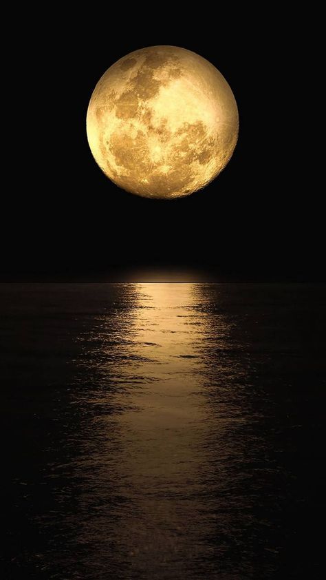 Download Moonshine on ocean wallpaper by looneywolf - 37 - Free on ZEDGE™ now. Browse millions of popular moon Wallpapers and Ringtones on Zedge and personalize your phone to suit you. Browse our content now and free your phone Iphone Wallpaper Moon, Full Moon Pictures, Fool Moon, Beautiful Moon Pictures, Moon And Stars Wallpaper, Moon Lover, Night Sky Wallpaper, Moon Pictures, Moon Photography