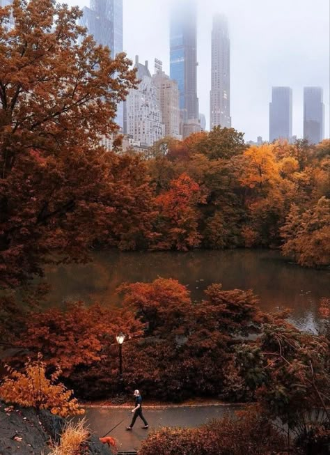 Rainy Central Park, Fall Fashion College, New York Facts, Fashion Trends Aesthetic, Dylan Walker, Fall Nails Halloween, Fall Wallpaper Iphone, Aesthetic Autumn Outfits, Fall Core