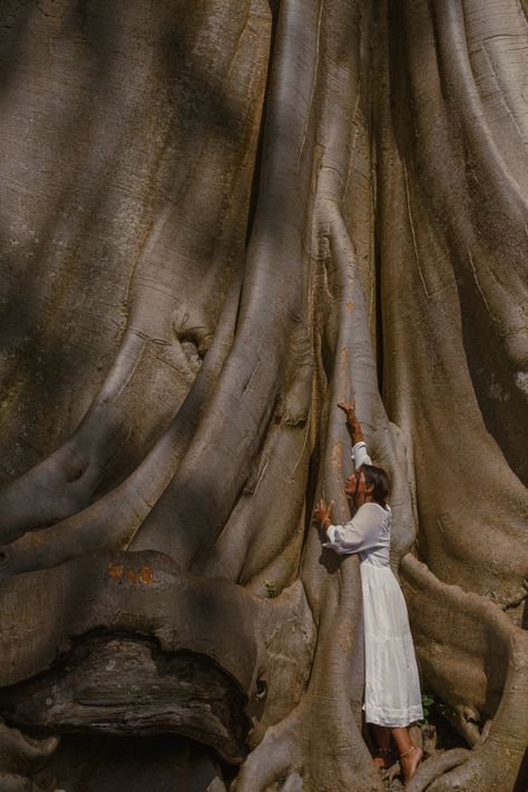 Shooting girl Bali Bayan ancient tree Jungle Life, Goddess Aesthetic, Ethereal Aesthetic, Healing Space, Ancient Tree, Season Of The Witch, Arte Inspo, Art Films, Ethereal Art