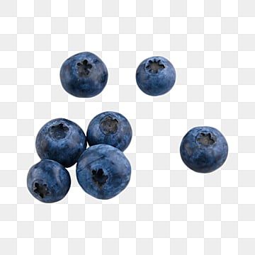 Sweets Clipart, Circle Clipart, Blueberry Cupcakes, Blueberry Season, Fruit Clipart, Blueberry Fruit, Food Clipart, Food Png, Wild Blueberries