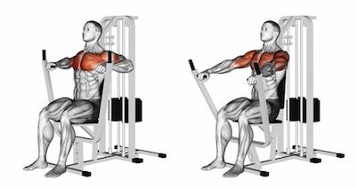 Seated Machine Chest Press Pec Workouts, Chest Day Workout, Chest Workout Routine, Gym Plan, Chest Press, Body Coach, Gym Routine, Workout Chart, Chest Workouts