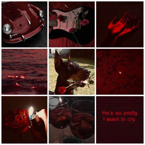 Doberman Moodboard, Animal Moodboard, Pretty Moodboards, Fursona Ideas, Bored Ideas, Aesthetic Material, Therian Stuff, Moodboard Inspo, Adopt Idea