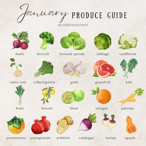 Happy New Year! And welcome to January 🍠🥬🍋🍊 #produceguide #winterproduce #januaryproduceguide #whatsinseason #fruitsandveggies | Instagram January Produce, January Fruits, Healthy Liver Diet, Seasoned Veggies, Healthy Food Facts, Hello December, Eat Seasonal, Holistic Nutritionist, Healthy Liver