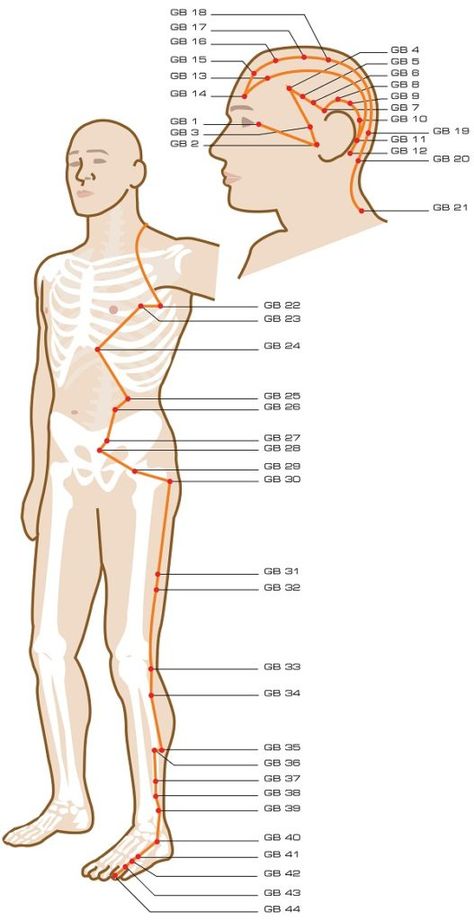 Wood element - 3: Gallbladder meridian - PetarSmiljana Qigong Acupuncture Meridian Chart, Gallbladder Meridian, Punkty Spustowe, Meridian Acupuncture, Traditional Chinese Medicine Acupuncture, Shiatsu Massage Acupressure, Meridian Points, Acupuncture Benefits, Reflexology Massage