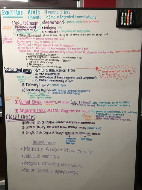 Spinal cord nursing | spinal cord injury nursing | trauma nursing Muscleskeletal System, Med Notes, Med Surg Nursing, Nursing School Essential, Clickbank Affiliate, Medicine Notes, Nurses Station, Lab Values, Nursing Schools
