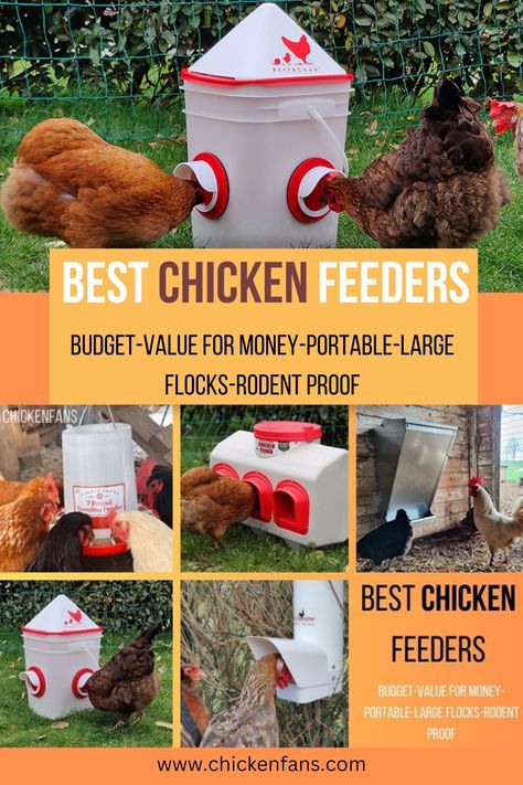 Outdoor Chicken Feeder, Diy Chicken Feeder Ideas, Waterproof Chicken Feeder, Best Chicken Feeders, Mouse Proof Chicken Feeder, Rodent Proof Chicken Feeder, Goat Proof Chicken Feeder, Rat Proof Chicken Feeder, No Mess Chicken Feeder