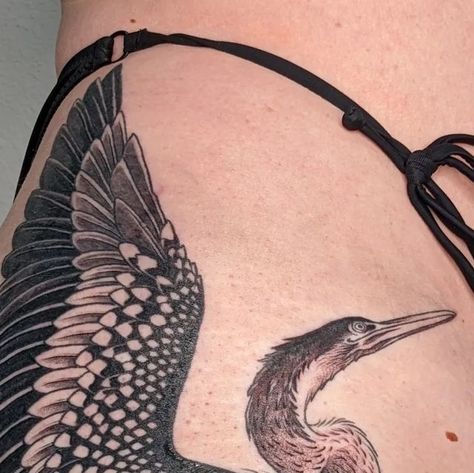 AB MOORE 𓅛 Valley Tattoo on Instagram: "Anhinga! I can't believe I forgot to post this one. Fresh graywash is a lil red- since this, we've done a lil bit of touch up but it's healed up amazingly. Thanks Allie, you're a real one! Swipe to the end for a healed flash piece." Anhinga Tattoo, Valley Tattoo, Real One, I Forgot, To The End, Touch Up, Tattoo On, I Cant, The End