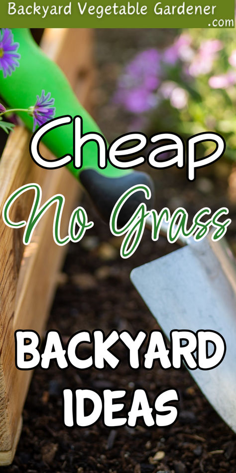 Create the backyard of your dreams with these affordable and grass-free landscaping options. #BudgetLandscaping #NoGrassYard

https://dianfarmer.com/cheap-no-grass-backyard-ideas-or-front-yard/
#backyardgardening #lovegardening #gardeningismytherapy #gardenlife #pottedgarden #gardentips #zone #backyardgarden #veggiegarden #garden #organicgardening #vegetables Gardening Landscaping Ideas, No Water Landscaping Front Yards, Grassless Yard Ideas, Replace Grass Ideas Backyards, No Plant Landscape Ideas, Grass Free Landscaping, No Water Landscaping, Low Maintenance Backyard Landscaping Designs, No Grass Front Yard Landscaping