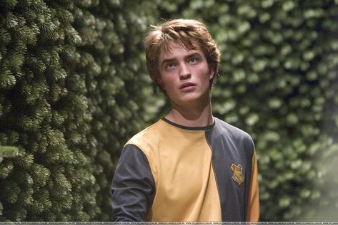 Harry Potter-Cedric Diggory Harry Potter, Trees, Yellow, Wall, Green, Black