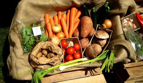 4 Planting Strategies for a Successful CSA Start Eating Healthier, Csa Farm, Csa Box, Bountiful Baskets, Vegetable Boxes, Food World, Eating Healthier, Organic Foods, Food Board