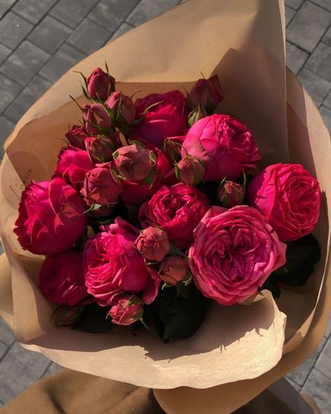 Flowers 🌺 on Twitter: "… " Roses, On Twitter, Twitter, Flowers, Pink