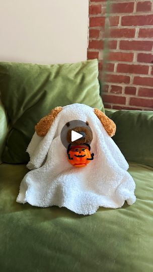 9K views · 839 reactions | The cutest Halloween craft EVER. 

This ghost puppy DIY by @weekendcraft is an adorable project that doesn’t break the bank! All you need is Fabri-Tac, a stuffed animal, scrap sherpa fabric, and a mini Jack-O-Lantern! 

Trying this #craft yourself? TAG US in your photo for a chance to be featured on our Instagram! | Beacon Adhesives | DIY Sherpa Ghost, Diy Mini Sherpa Ghost, Diy Ghost Plush, Puppy Diy, Jack O Lantern, Cute Halloween, Halloween Crafts, Ghost, Puppies