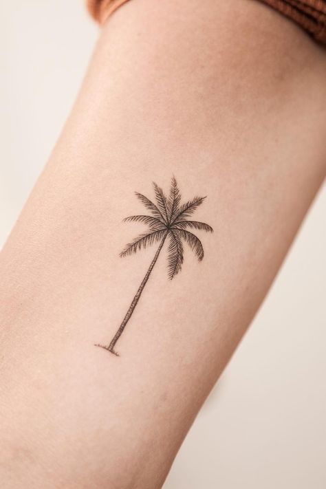 Coconut Tree Tattoo Minimalist, Palm Tree Shoulder Tattoo, Palm Trees Tattoo, Minimalist Palm Tree Tattoo, Tiny Palm Tree Tattoo, Palm Tree Tattoos, Palm Leaf Tattoo, Palm Tattoo, Pretty Girl Tattoos