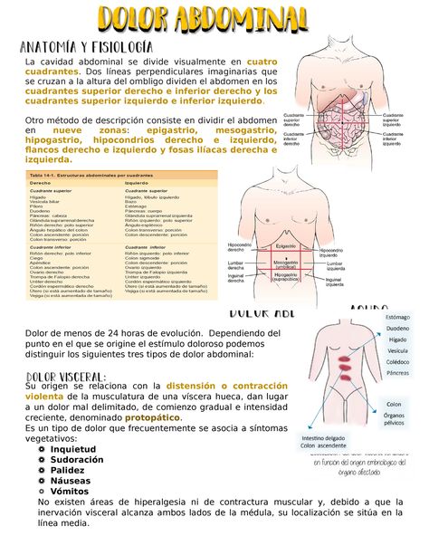 Dolor Abdominal-Semiología- Medicina - La cavidad abdominal se divide visualmente en cuatro - Studocu Homework, Medicine