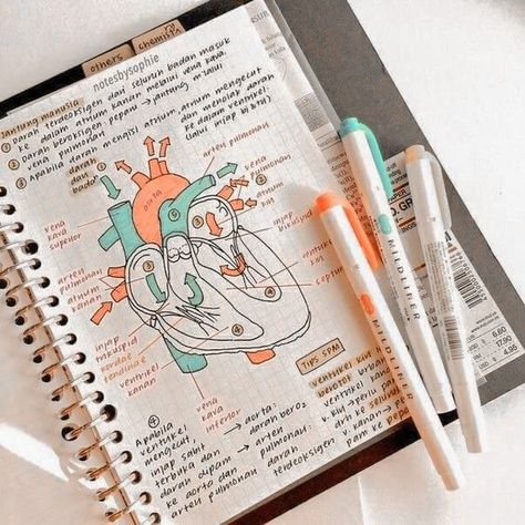 Studyblr Notes, Notes Nursing, Organization Notes, Studera Motivation, Notes Aesthetic, College Notes, Medical Student Study, Math Notes, History Notes