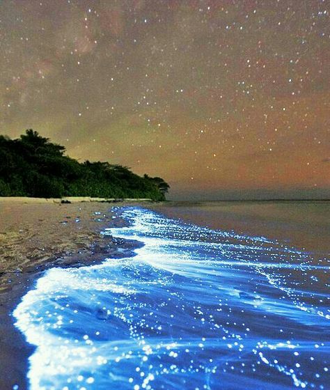 Starry Ocean Vaadhoo Island, جزر المالديف, Sea Of Stars, Places Around The World, Vacation Spots, Dream Vacations, Maldives, Travel Dreams, Beautiful World