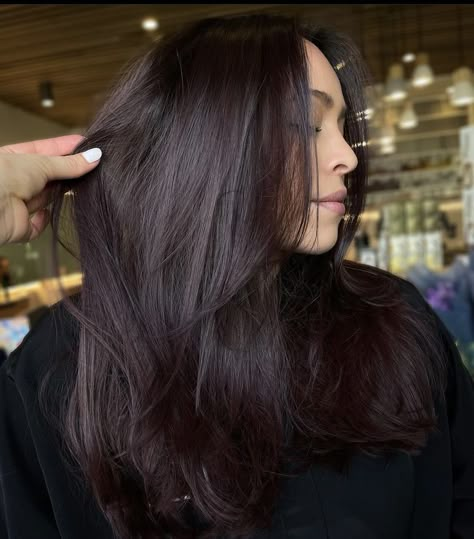 Deep Brown Hair With Red Undertones, Obsidian Brunette, Dark Brown With Purple Tint, Dark Black Cherry Hair, Dark Rich Brown Hair Color, Deep Cherry Brown Hair, Dark Chocolate Red Hair, Black Plum Hair Color, Black Cherry Hair Color Dark