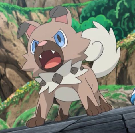 #pokemon #pokémon #rockruff #icon #banner #pfp Rock Ruff Pokemon, Rockruff Pokemon Art, Rockruff Pfp, Rockruff Art, Rockruff Evolution, Cute Pokemon Pfp, Pokemon Pfps, Rockruff Pokemon, Pokemon Pfp