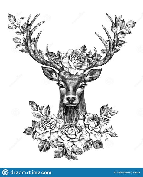 Deer With Rose Flowers Pencil Drawing Stock Illustration - Illustration of line, cartoon: 148635694 Hirsch Tattoo Frau, Deer Head Tattoo, Deer Tattoo Designs, Tattoo Care Instructions, Stag Tattoo, Deer Drawing, Realistic Temporary Tattoos, Deer Tattoo, Quality Tattoo