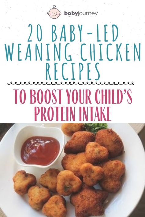 Nuggets are easy to make, so try out a simple variation of the baby-led weaning chicken recipes. #babyjourney #babyfood #babyfoodrecipes #babyledweaning #babyledweaningrecipes 8 Months Baby Food Recipes, Baby Meat Recipes, Blw Meat Recipes, Healthy Baby Food Recipes, 101 Before One Recipes, 9 Month Old Dinner Ideas, Baby Chicken Recipe, Baby Led Weaning Recipes 10 Months, Baby Led Weaning Protein