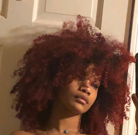 Dark Red Afro Hair, Dark Orange Curly Hair, Dark Red Afro, Red And Black Hair Curly, Dark Red Natural Hair, Dark Red Hair Curly, Curly Dark Red Hair, Dyed Afro Hair, Wine Red Curly Hair