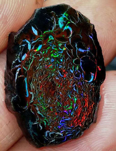 daily timewaster: Yowah Opal ''rune'' from the deserts of the Australian outback Kangaroo Island, Geology Rocks, Matrix Opal, Yowah Opal, Pretty Rocks, Cool Rocks, Beautiful Rocks, Minerals And Gemstones, Rocks And Gems