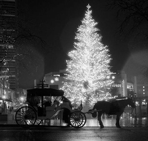 Christmas in New York city. Crismas Tree, Black White Christmas, Nyc Christmas, Christmas Aesthetic Wallpaper, Dark Christmas, Merry Christmas Eve, Black Christmas, Christmas Scenes, Noel Christmas