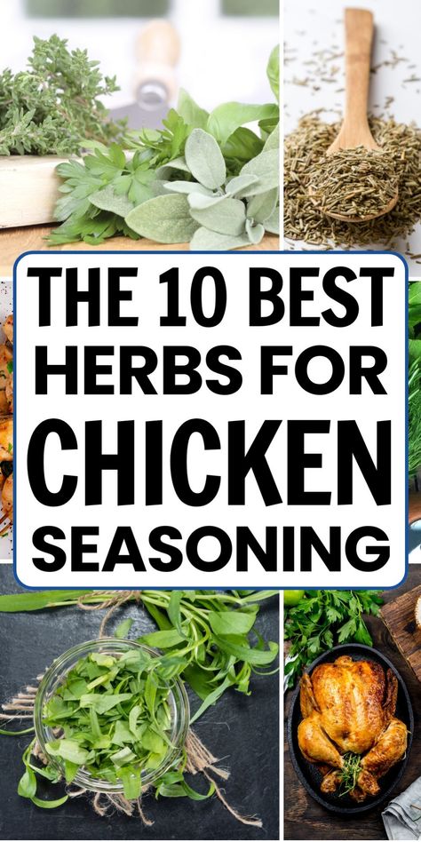 The 10 best herbs for chicken seasoning featured with images of fresh and dried herbs, and a roasted chicken. Herbed Chicken Recipes, Homemade Poultry Seasoning Recipe, Poultry Seasoning Recipe, Herby Chicken, Chicken Seasoning Mix, List Of Herbs, Tarragon Recipes, Herb Chicken Recipes, Herbs For Chickens