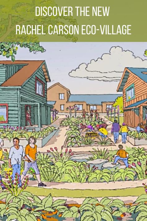 Imagine living in a home that generates more energy than it consumes. What if I also told you that the house was constructed with only sustainable materials and no toxic chemicals? The Rachel Carson eco-village is making that dream a reality. Learn more about their visions for the neighborhood, residents, and the surrounding community. #ecovillagedesign #ecovillagecommunity #ecofriendlyliving #ecofriendly #ecofriendlyhouse #villagelife #villageaesthetic #homesteading #homesteadaesthetic #village Eco Sustainable House, Eco Neighborhood, Community Garden Architecture, Co Living Concept, Sustainable Cities And Communities, Eco Friendly House Plans, Eco Village Community, Co Housing Community, Eco Community