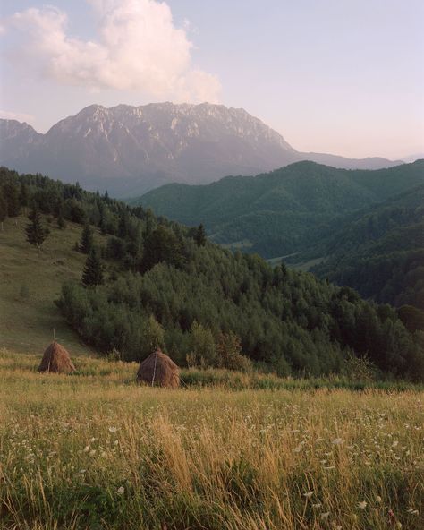 Visit Romania, Forest Ranger, Wildlife Reserve, Carpathian Mountains, Alpine Meadow, Animal Tracks, The European Union, Eastern Europe, Breathtaking Views