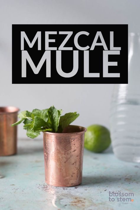 Mezcal Mule. A variation on the Moscow Mule with smoky mezcal, ginger ale, and lime. A simple, refreshing cocktail for fans of mezcal. Tequilla Cocktails, Mezcal Mule, Pineapple Mule, Chocolate Tequila, Mint Green Paints, Pitcher Drinks, Chocolate Hummus, Mezcal Cocktails, Mule Recipe