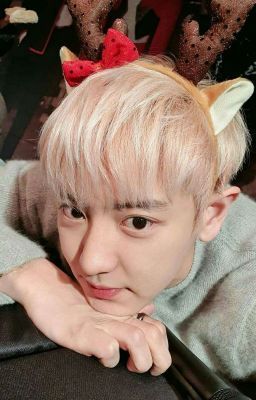 Kumpulan foto Chanyeol Chanyeol Wallpaper, Key Shinee, Chanyeol Cute, Exo Edits, Park Chanyeol Exo, Kim Jongdae, Funny Kpop Memes, Exo Chanyeol, Kim Jongin