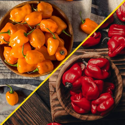 Ghost Pepper Recipes, How To Make Chili, Ghost Pepper, Cooking Measurements, Strawberry Preserves, Marinate Meat, Ghost Peppers, Spicy Dishes, Essential Kitchen Tools